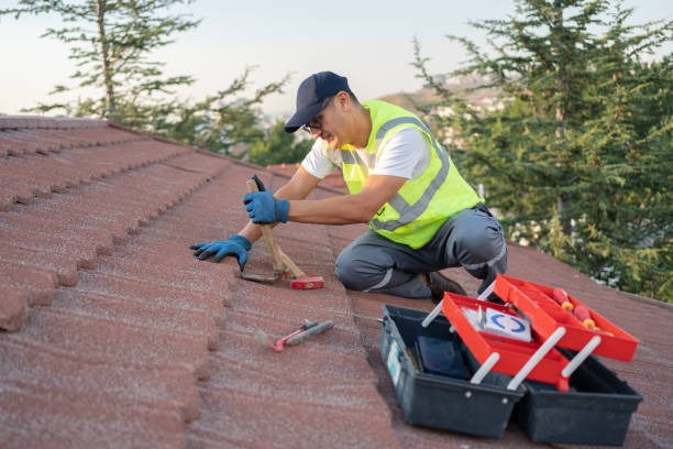 Best Commercial Roofing Services  in Shackle Island, TN