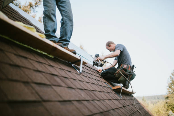 Professional Roofing Contractor in Shackle Island, TN